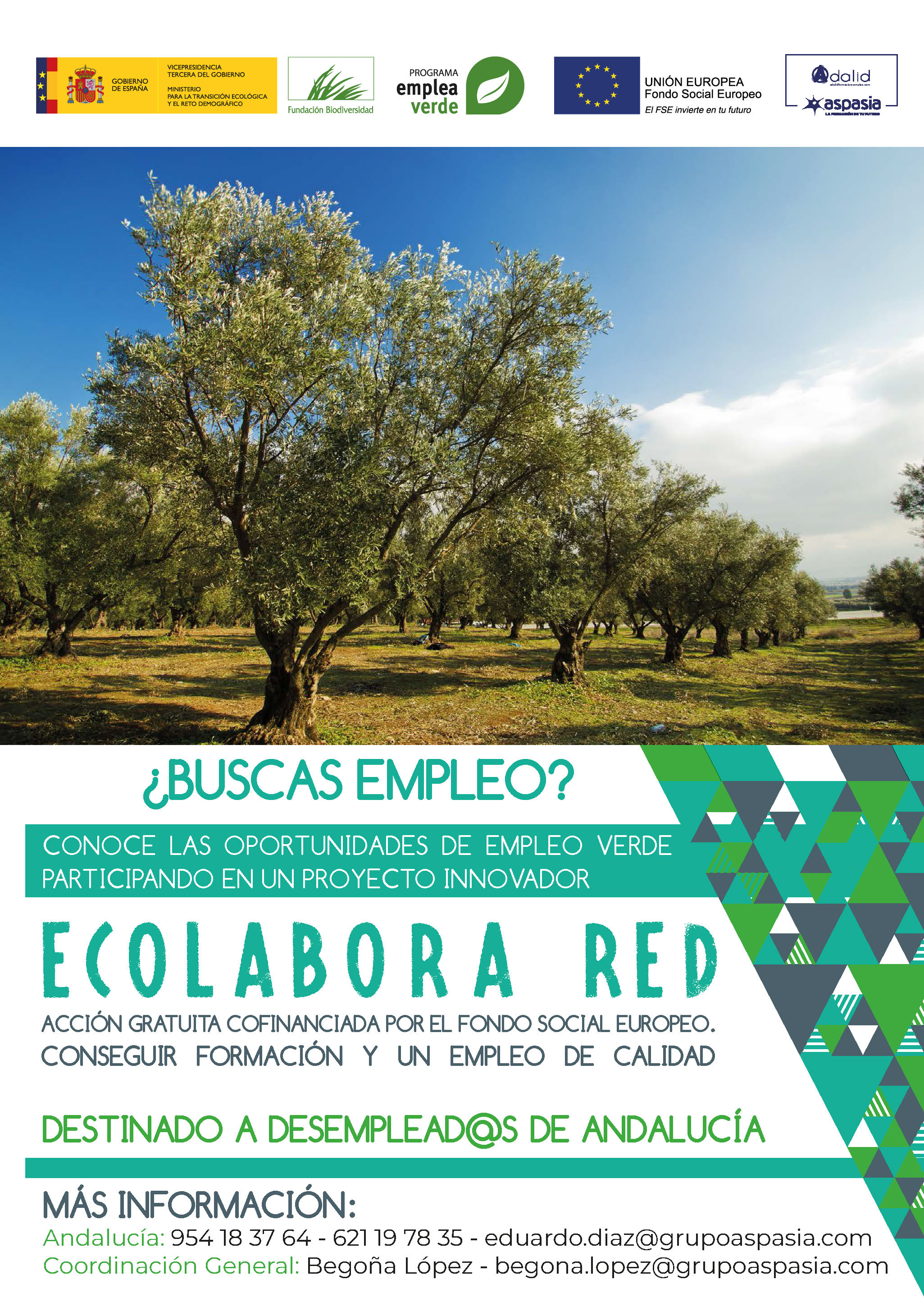 Cartel Ecolabora Sevilla