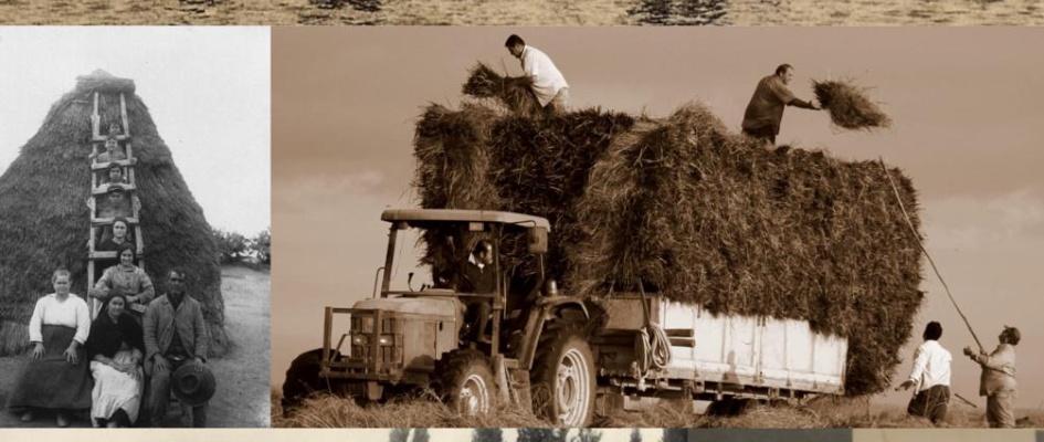 Imagen de WhatsApp 2025-03-07 a las 11.21.05_6b8b5c0e