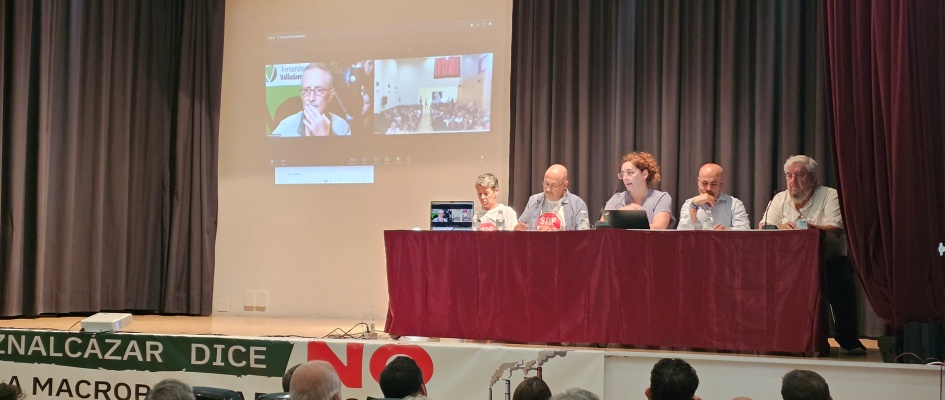 Asamblea 