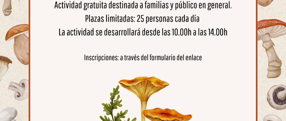 Ruta micologica Doñana