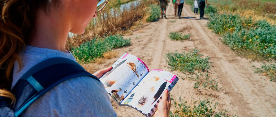 bioblitz-en-donana-censo-de-la-biodiversidad-en-el-brazo-del-este
