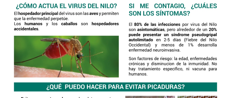 iNFORMACION VIRUS NILO 2025
